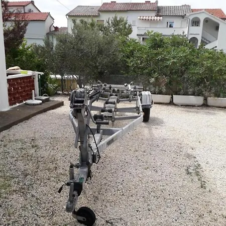 Marjetka Palit