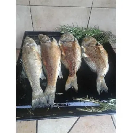 Casa vacanze Marjetka